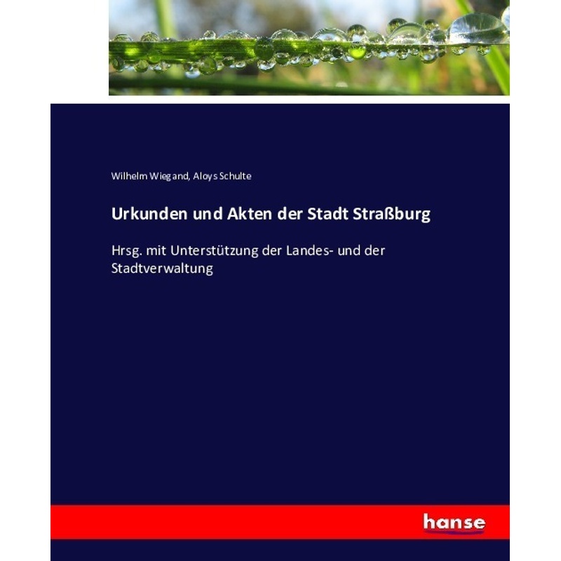 Urkunden Und Akten Der Stadt Straßburg - Wilhelm Wiegand, Aloys Schulte, Kartoniert (TB) von Hansebooks
