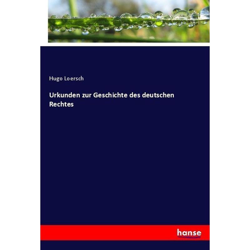 Urkunden Zur Geschichte Des Deutschen Rechtes - Hugo Loersch, Kartoniert (TB) von Hansebooks