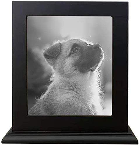Pet Holz Memorial Urn für Asche, Bilderrahmen Aufbewahrungsschachtel für Hunde Katzen, Funerary Schatullen Supplies Burly Holz Urnen Pet Lovers,Schwarz Pet Holz Memorial Urn für Asche, Bilderrahmen Aufbewahrungsschachtel für Hunde Katzen, Funerary Schatullen Supplies Burly Holz Urnen Pet Lovers,Schwarz von Hanwu