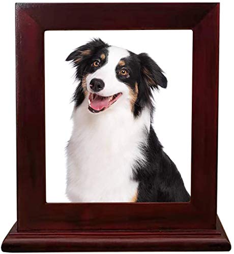 Pet Holz Memorial Urn für Asche, Bilderrahmen Aufbewahrungsschachtel für Hunde Katzen, Funerary Schatullen Supplies Burly Holz Urnen Pet Lovers,Wine red Pet Holz Memorial Urn für Asche, Bilderrahmen Aufbewahrungsschachtel für Hunde Katzen, Funerary Schatullen Supplies Burly Holz Urnen Pet Lovers,Wine red von Hanwu