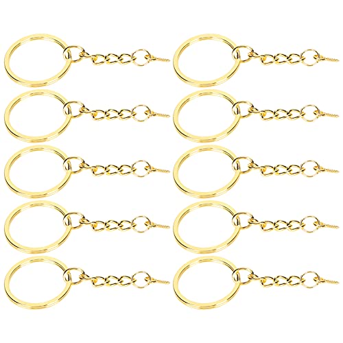 Schlüsselketten -Set -Legierungszubehör für Schlüsselring mit Schraubenstift, 10 Prozent für die Herstellung von Anhängern für Mobiltelefone, Taschen und Mehr (φ25mm 【10 Teile】) von Haofy