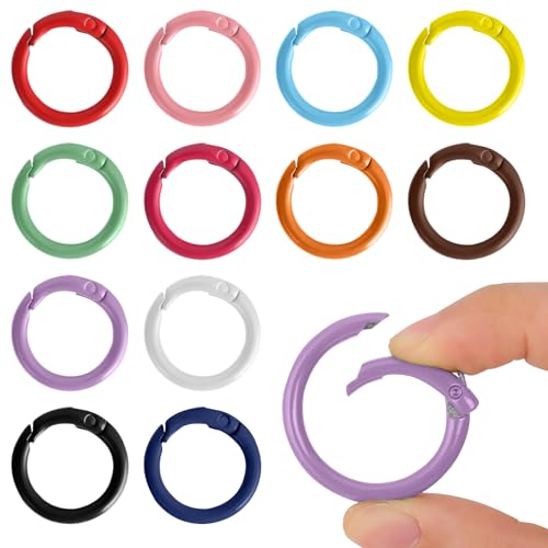 12 Farben Metall Feder O Ringe Runder Karabinerhaken mit Druckknopf und Feder 25 mm Karabinerhaken mit Druckknopfverschluss DIY Bastelzubehör Federring für Schlüsselanhänger Taschen Geldbörsen 12 Farben Metall Feder O Ringe Runder Karabinerhaken mit Druckknopf und Feder 25 mm Karabinerhaken mit Druckknopfverschluss DIY Bastelzubehör Federring für Schlüsselanhänger Taschen Geldbörsen von Happtkey