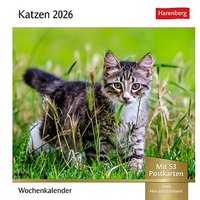 Harenberg Postkartenkalender Katzen 2026 Harenberg Postkartenkalender Katzen 2026 von Harenberg