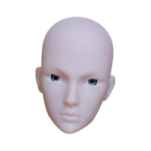 Harilla 1/6 Skala BJD Doll Head Skulptur für 12 Zoll Körperpraxis Modell Spielzeug Ersatz DIY DUPP Made MAUFEN Nature Kopf 4CM von Harilla