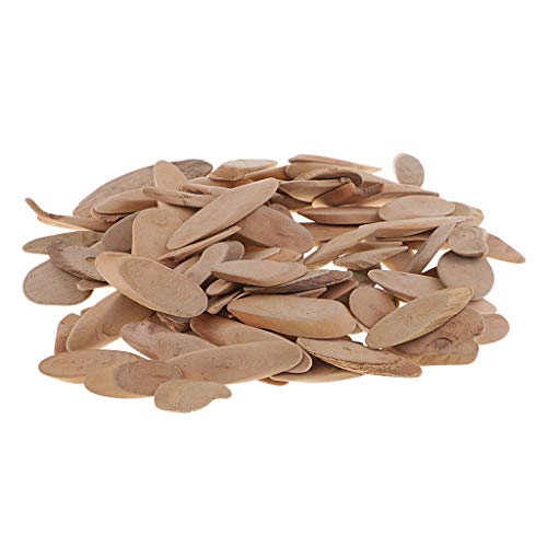 Harilla 250g Treibholz Holzformen Sticks Scheiben für Handgefertigtes - Stick, 8-10cm, Oval, 4,2-8 cm von Harilla