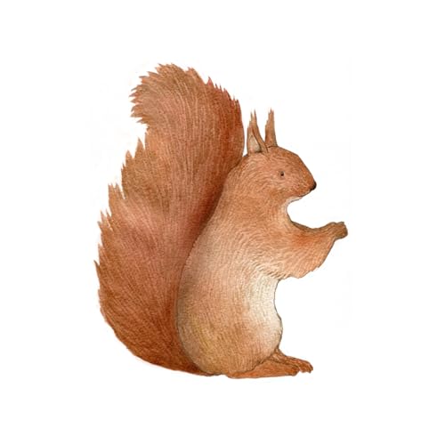 Eichhörnchen Wandtattoo | Für Baby- & Kinderzimmer | Handgemalt & nachhaltig | Wandsticker | Sticker für Wand | Wandaufkleber | Wiederverwendbar von Hartendief