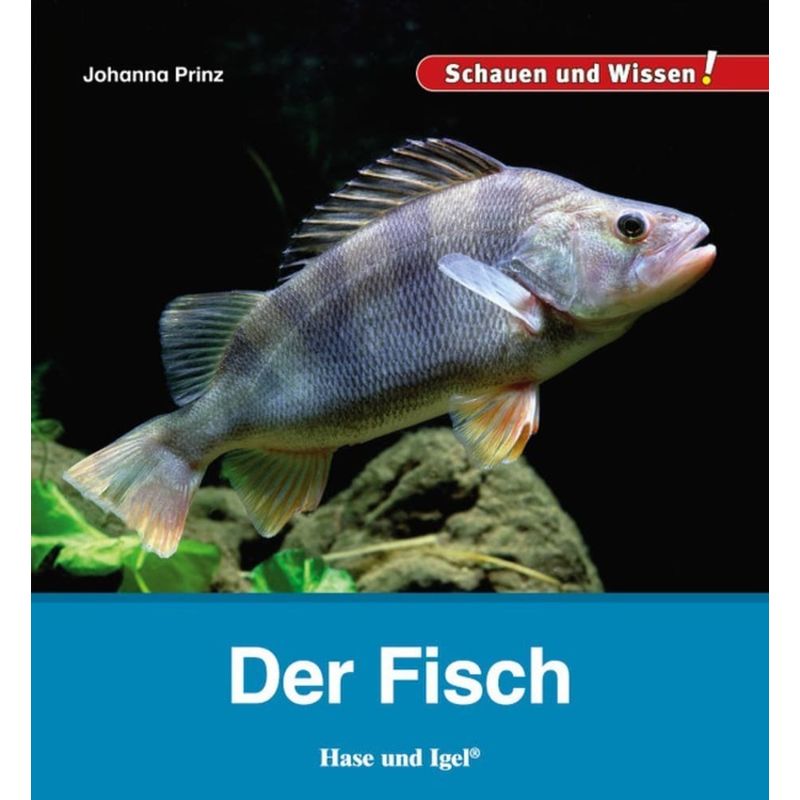 Der Fisch - Johanna Prinz, Gebunden von Hase und Igel