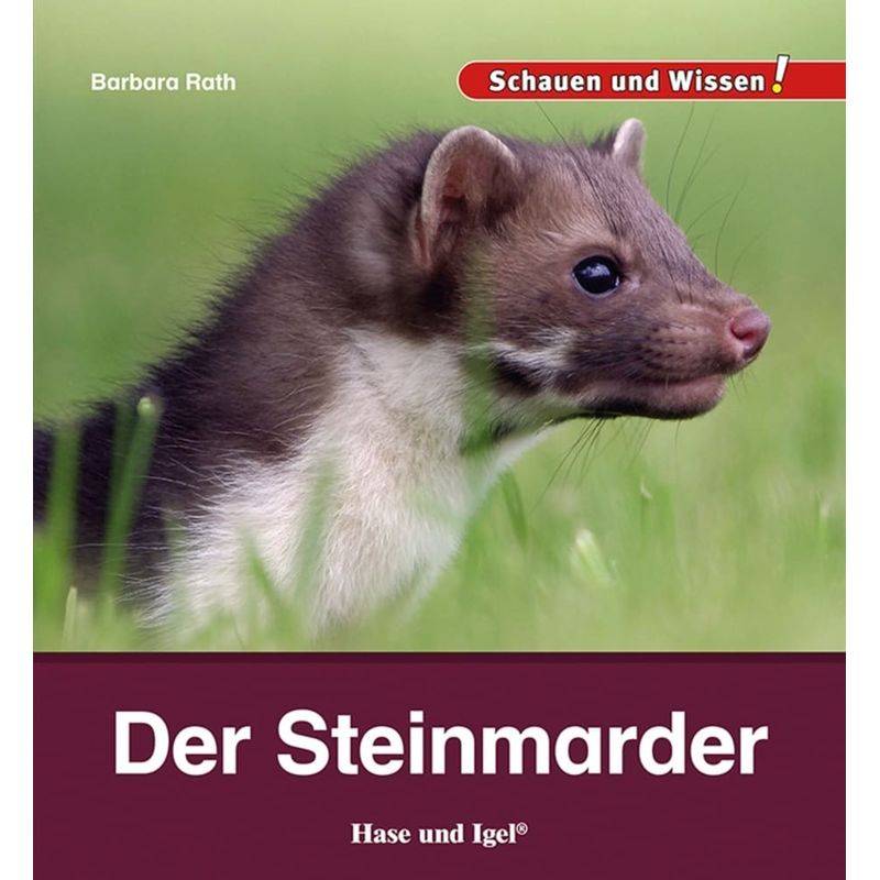 Der Steinmarder - Barbara Rath, Gebunden von Hase und Igel