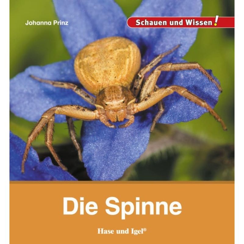 Die Spinne - Johanna Prinz, Gebunden von Hase und Igel