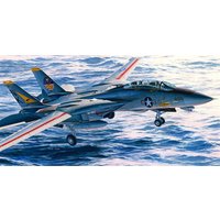 F-14A Tomcat von Hasegawa