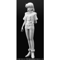 Sonic Soldier Borgman Anice Farm Sonic Soldier Borgman Anice Farm von Hasegawa