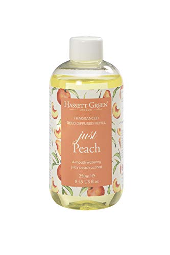 Hassett Green London - Just Peach - Nachfüllung für Duftöl-Raumerfrischer in großer 250ml Flasche - Vegan, alkoholfrei und mit natürlichen Extrakten für EIN fruchtiges Ambiente zu Hause Hassett Green London - Just Peach - Nachfüllung für Duftöl-Raumerfrischer in großer 250ml Flasche - Vegan, alkoholfrei und mit natürlichen Extrakten für EIN fruchtiges Ambiente zu Hause von Hassett Green London