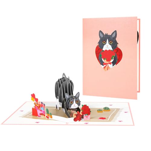 Popup Geburtstagskarten für Frauen & Popup Geburtstagskarten für Frauen & von Hattba