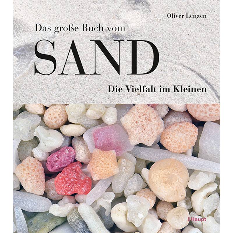 Das Große Buch Vom Sand - Oliver Lenzen, Gebunden von Haupt