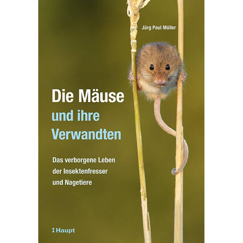 Die Mäuse Und Ihre Verwandten - Jürg Paul Müller, Gebunden von Haupt