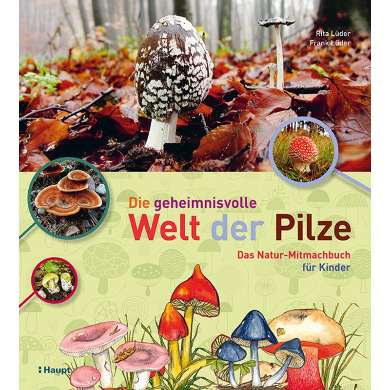 Die Geheimnisvolle Welt Der Pilze - Rita Lüder, Frank Lüder, Kartoniert (TB) von Haupt