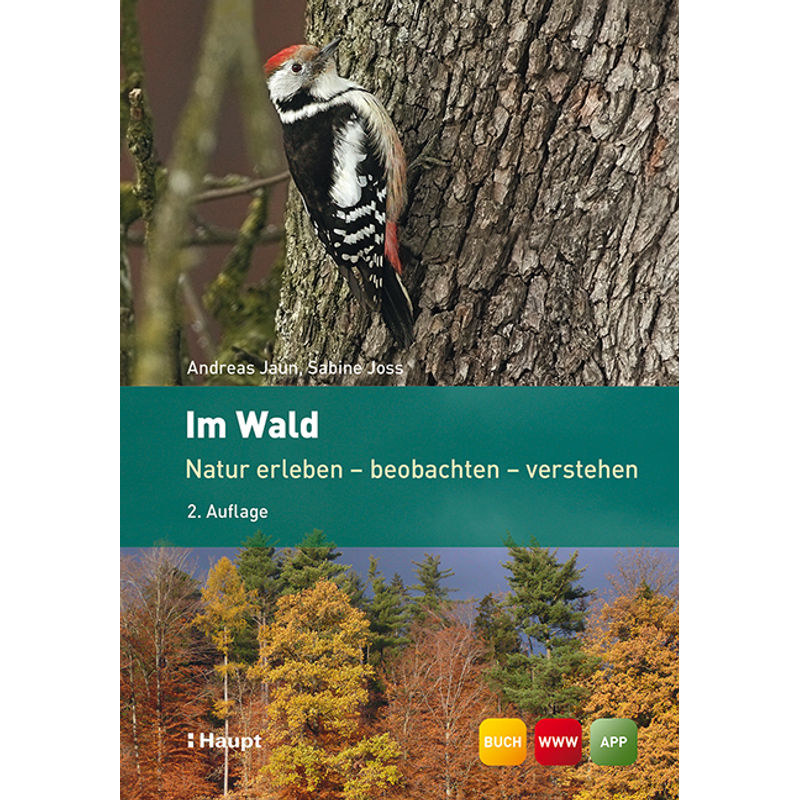 Im Wald - Andreas Jaun, Sabine Joss, Kartoniert (TB) von Haupt