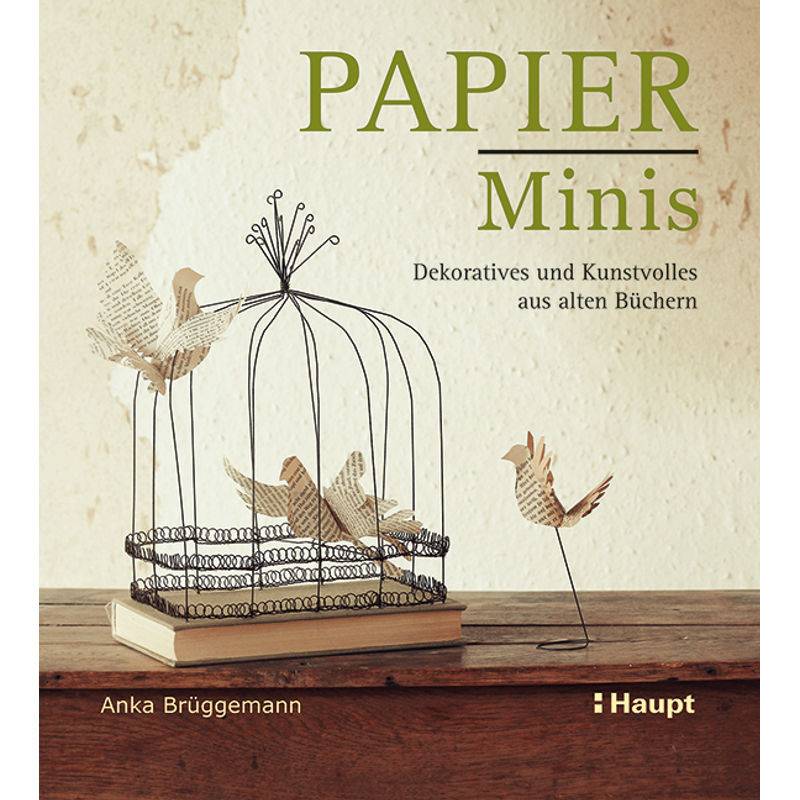Papier-Minis - Anka Brüggemann, Kartoniert (TB) von Haupt