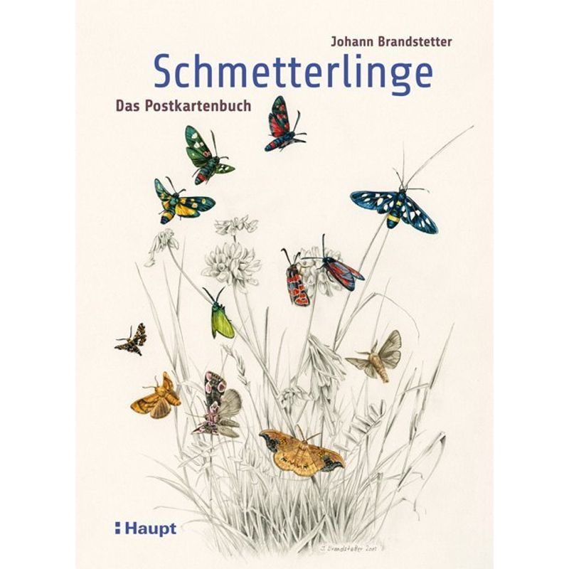 Schmetterlinge - Das Postkartenbuch von Haupt