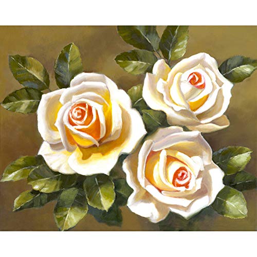 5D Diamond Painting Set Full Bilder, Diamond Painting Blumen Rose Diamond Painting Vollbohrer Stickerei Malerei Crystal Strass Stickerei für Home Wand-Decor 30 x 40 cm 5D Diamond Painting Set Full Bilder, Diamond Painting Blumen Rose Diamond Painting Vollbohrer Stickerei Malerei Crystal Strass Stickerei für Home Wand-Decor 30 x 40 cm von HautStore