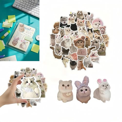 Katzen Aufkleber Kinder 60 Stück - Süße Vinyl-Sticker (5x5cm) - Wasserfest & Wiederverwendbar - Für Trinkflaschen, Schulhefte & Laptops - Rückstandsfrei - Ideal für Mädchen & Jungen ab 3 Jahren von Hawfund