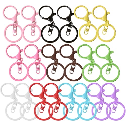 Hayaww 20 Stück 10 Farben Schlüsselringe,Schlüsselring Schnalle,Karabiner Schlüsselanhänger Basteln Set,Mini Karabiner Runde Karabiner Schlüsselanhänger für Schlüsselanhänger Schmuck DIY Handwerk (A) Hayaww 20 Stück 10 Farben Schlüsselringe,Schlüsselring Schnalle,Karabiner Schlüsselanhänger Basteln Set,Mini Karabiner Runde Karabiner Schlüsselanhänger für Schlüsselanhänger Schmuck DIY Handwerk (A) von Hayaww
