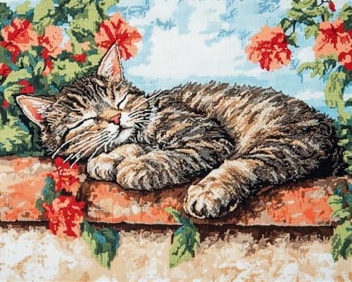 Hdfvlfdsa Kreuzstich Set Vorgedruckt, Katze Schläft Auf Dem Balkon 30x40cm 11 Ct Kreuzstich Stickpackungen,Stickbilder Vorgedruckt Kreuzstich Für Wandkunst-Heimdekoration Hdfvlfdsa Kreuzstich Set Vorgedruckt, Katze Schläft Auf Dem Balkon 30x40cm 11 Ct Kreuzstich Stickpackungen,Stickbilder Vorgedruckt Kreuzstich Für Wandkunst-Heimdekoration von Hdfvlfdsa