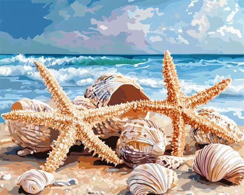 Hdfvlfdsa Kreuzstich-Set Zum Selbermachen 11 Ct Seesternschalen Am Strand 60x80cm Von Vorgedruckten Stick-Starter-Sets Für Anfänger, Lesen Von Picasso von Hdfvlfdsa