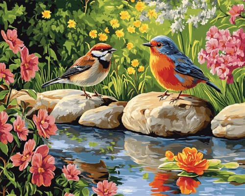 Hdfvlfdsa Stickpackung 11Ct Sticken Set Erwachsene Kreuzstich Zwei Vögel Auf Dem Teich 40X50Cm Diy Stickbilder Vorgedruckt Kreuzstich Für Anfänger Home Decor von Hdfvlfdsa