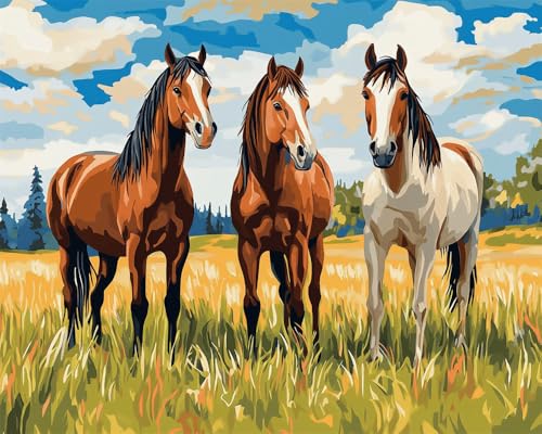 Kreuzstich Set Vorgedruckt, Drei Pferde Auf Dem Gras 40X50Cm Stickvorlagen Stickbilder Vorgedruckt Kreuzstich Stickpackungen Stickpackung Cross Stitch Embroidery Kit Stickset Sticken Set Erw von Hdfvlfdsa