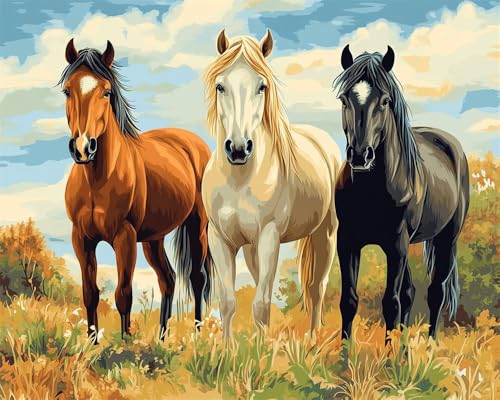 Kreuzstich Set Vorgedruckt, Drei Pferde Auf Dem Gras 60x80cm Stickvorlagen Stickbilder Vorgedruckt Kreuzstich Stickpackungen Stickpackung Cross Stitch Embroidery Kit Stickset Sticken Set Erw von Hdfvlfdsa