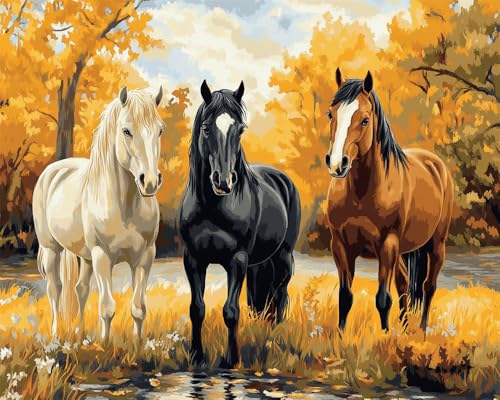 Kreuzstich Set Vorgedruckt, Drei Pferde Auf Dem Gras 60x80cm Stickvorlagen Stickbilder Vorgedruckt Kreuzstich Stickpackungen Stickpackung Cross Stitch Embroidery Kit Stickset Sticken Set Erw von Hdfvlfdsa