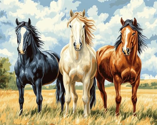 Kreuzstich Set Vorgedruckt, Drei Pferde Auf Dem Gras 60x80cm Stickvorlagen Stickbilder Vorgedruckt Kreuzstich Stickpackungen Stickpackung Cross Stitch Embroidery Kit Stickset Sticken Set Für von Hdfvlfdsa