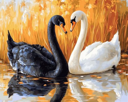 Kreuzstich Set Vorgedruckt, Stickvorlagen Stickbilder Vorgedruckt Schwarzer Schwan Und Weißer Schwan 50x70cm Kreuzstich Stickpackungen Stickpackung Cross Stitch Embroidery Kit Stickset Stick Kreuzstich Set Vorgedruckt, Stickvorlagen Stickbilder Vorgedruckt Schwarzer Schwan Und Weißer Schwan 50x70cm Kreuzstich Stickpackungen Stickpackung Cross Stitch Embroidery Kit Stickset Stick von Hdfvlfdsa