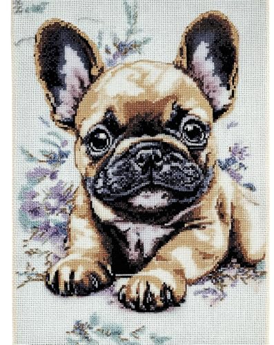 Kreuzstich Set Vorgedruckt Französische Bulldogge 60x80cm Stickvorlagen Stickbilder Vorgedruckt Kreuzstich Stickpackungen Stickpackung Cross Stitch Embroidery Kit Stickset Sticken Set Erwach von Hdfvlfdsa