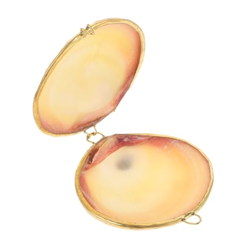Healeved Kasten Schale Schmuckschatulle Schmuck-organizer-fach Ohrringhalter Ohrringe Ringe Muschel Schlüssel Inhaber Led Schmuckkästchen Hochzeit Deko Schalenhalter Hülse von Healeved