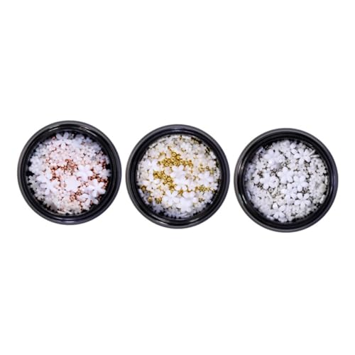 Healvian 3 Boxen Harz Blume Nail Art Schmuck Hochzeit Nagel Dekoration Nagel Dekoration Nagel Nagel Kunst Dekoration Nägel Blumen Nail Art Charms Zufällige Farbe Healvian 3 Boxen Harz Blume Nail Art Schmuck Hochzeit Nagel Dekoration Nagel Dekoration Nagel Nagel Kunst Dekoration Nägel Blumen Nail Art Charms Zufällige Farbe von Healvian