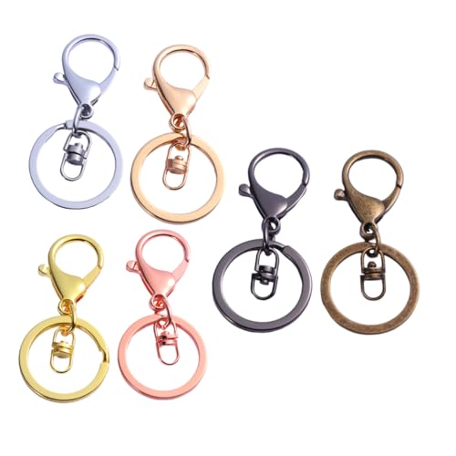 Healvian 6 Stück Teiliges Karabiner Schlüsselanhänger Verschlüsse Chrom Gold Roségold Antikbronze und Gunmetal Langlebige Metall Schnappverschluss Schlüsselring Zubehör für DIY Schmuck und von Healvian