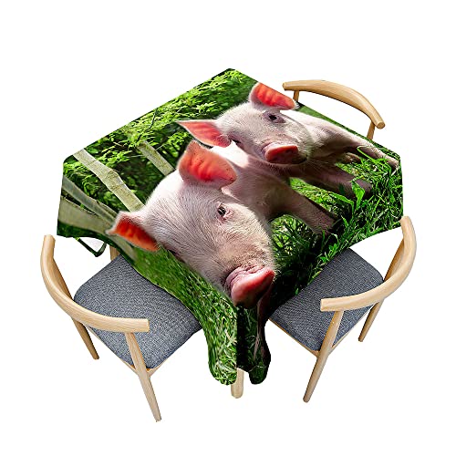 Hearda Tischdecke Abwaschbar Rechteckig, 3D-Haustier-Schwein-Druck Polyester Tischdecken Wasserdicht Pflegeleicht Tischtuch mit Tischdeckenklammern für Küche Party Bar (140x180cm,Schweinchen) von Hearda