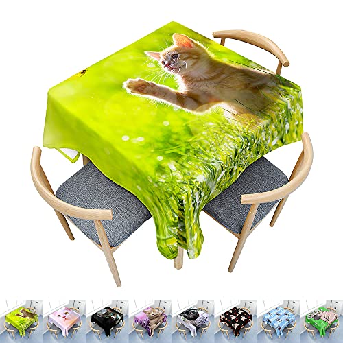Hearda Tischdecke Abwaschbar Rechteckig, 3D-Katzen- und Hundedruck Polyester Tischdecken Wasserdicht Pflegeleicht Tischtuch für Küche Party Bar Restaurant (Ausflug Katze,120x120cm) von Hearda