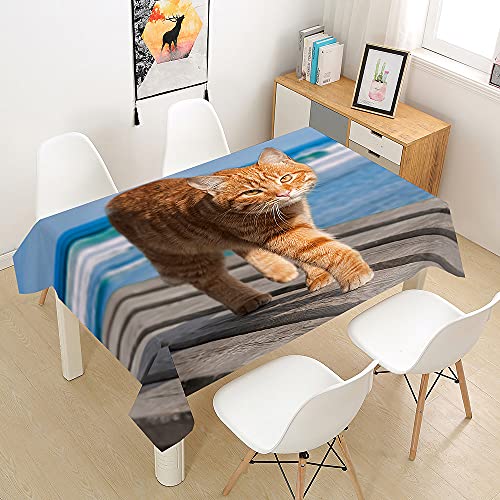 Hearda Tischdecke Abwaschbar Wasserdicht Abwischbar, 3D Katze Drucken Rechteckige Tischdecken Eckig Tischwäsche für Home Küche Garten Esstisch Dekoration (Ozean,140x260cm) von Hearda