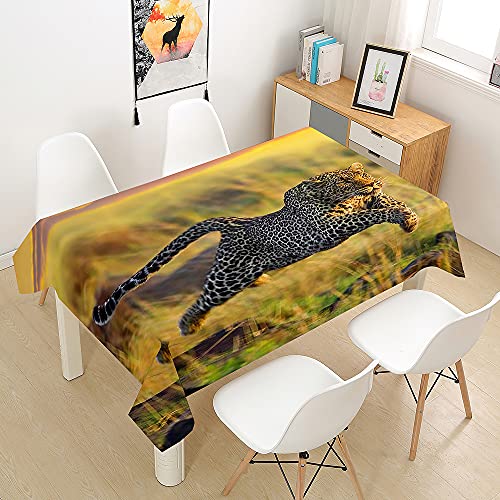 Hearda Tischdecke Weiß Abwaschbar Rechteckig, 3D Leopardenmuster Polyester Tischdecken Wasserdicht Pflegeleicht Tischtuch für Küche Party Outdoor Garten Restaurant (Afrikanischer Leopard,100x100cm) von Hearda