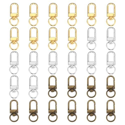 Heclia Karabinerhaken, 30 Stück, Schlüsselanhänger-Haken, 360° drehbar, Metall, drehbar, Schlüsselband-Haken, kleine Schlüsselanhänger-Ringe für Schmuckherstellung, Geldbörse, Tasche, Bastelset von Heclia