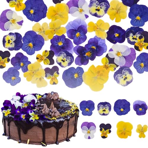 50 Stück Essbare Blüten Stiefmütterchen – Getrocknete Gepresste Blumen für Torte, Cupcakes & Deko – Essbare Blumen für Tortendekoration, Hochzeit, Geburtstag, Babyshower, Resin Basteln & Cocktails von HecticCore