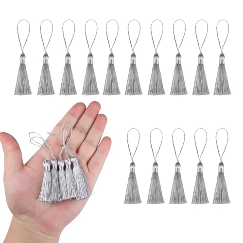 HedongHexi Mini-Lesezeichen-Quasten, 10 cm, mit Schlaufen für Schlüsselanhänger, Ohrringe, Lesezeichen, Schmuckherstellung, DIY-Projekte (Hellsilber), 45 Stück von HedongHexi