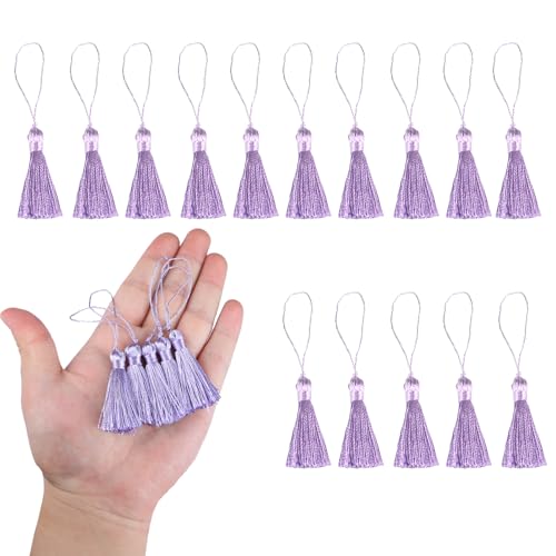HedongHexi Mini-Lesezeichen-Quasten, 10 cm, mit Schlaufen für Schlüsselanhänger, Ohrringe, Lesezeichen, Schmuckherstellung, DIY-Projekte (Hellviolett), 45 Stück von HedongHexi
