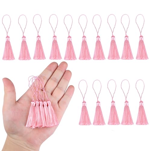 HedongHexi Mini-Lesezeichen-Quasten, 10 cm, mit Schlaufen für Schlüsselanhänger, Ohrringe, Lesezeichen, Schmuckherstellung, DIY-Projekte (Rosa), 45 Stück von HedongHexi