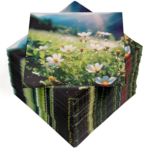 HEKU 100 Servietten, 3-lagig, 33x33cm, Bergwiese I Saugstark und praktisch verpackt I Breite Auswahl I Ideal für besondere Anlässe HEKU 100 Servietten, 3-lagig, 33x33cm, Bergwiese I Saugstark und praktisch verpackt I Breite Auswahl I Ideal für besondere Anlässe von Heku