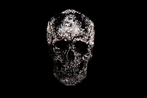 Strass-Totenkopf mit Strasssteinen, zum Aufbügeln, silberner und schwarzer Totenkopf, Hot Fix Skull von Helmetra