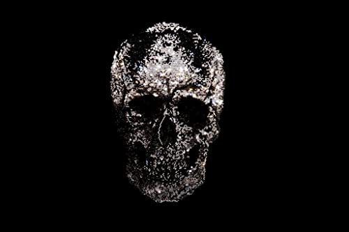 Strass-Totenkopf mit Strasssteinen, zum Aufbügeln, silberner und schwarzer Totenkopf, Hot Fix Skull Strass-Totenkopf mit Strasssteinen, zum Aufbügeln, silberner und schwarzer Totenkopf, Hot Fix Skull von Helmetra